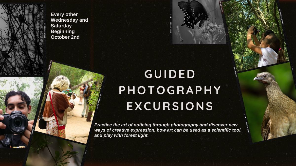 Guided Photography Excursions