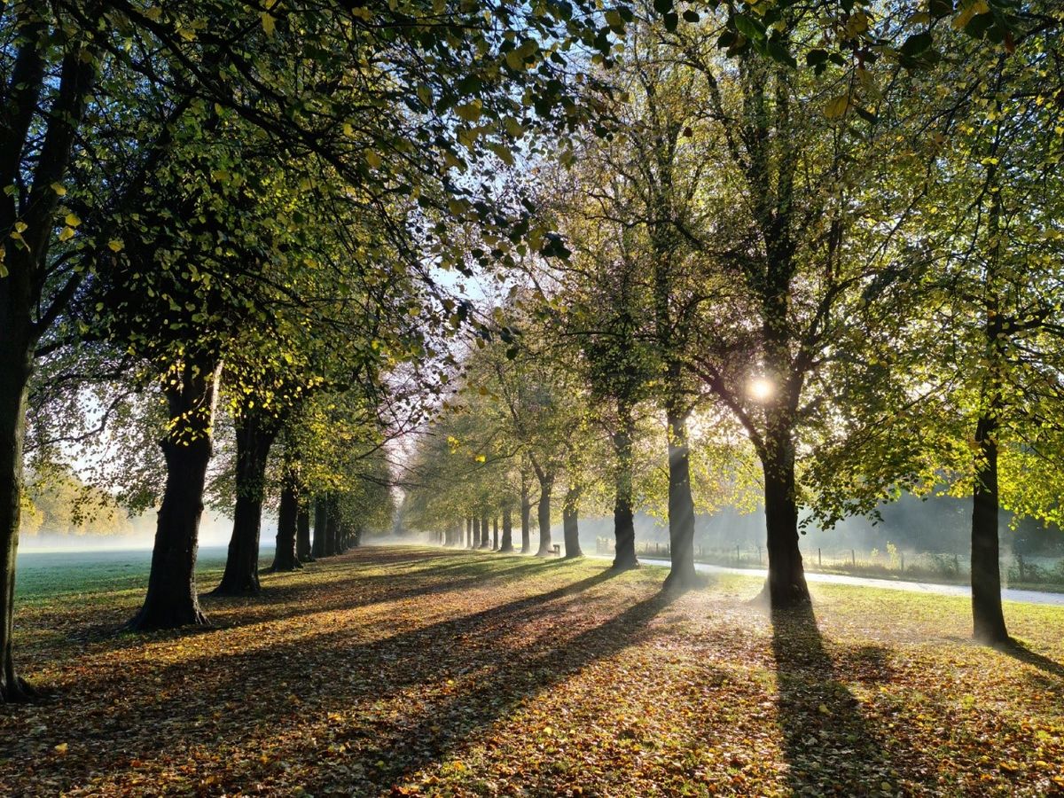 Walk for Parkinson's: Cheshire