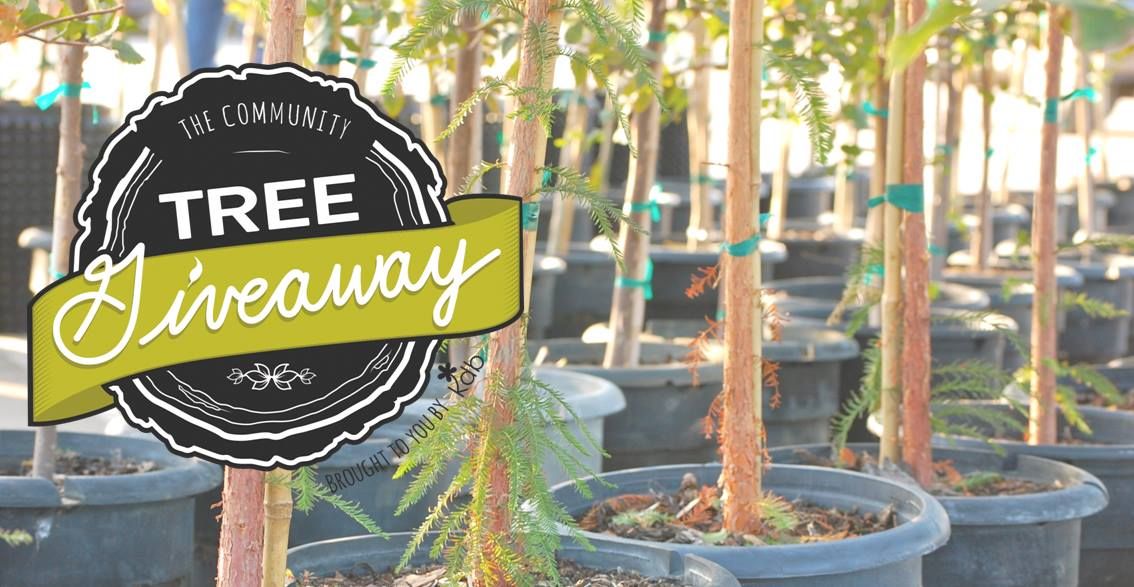 2024 Community Tree Giveaway