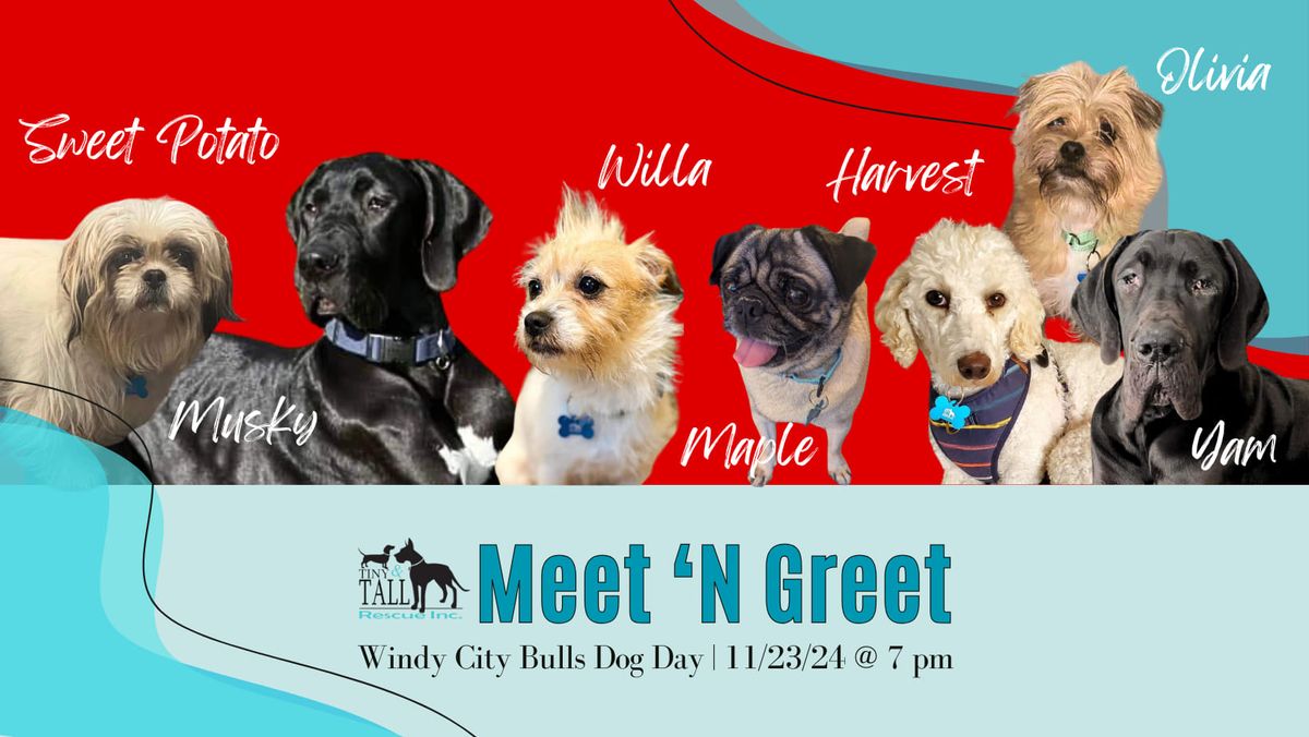 TNT Meet 'N Greet - Windy City Bulls Dog Day