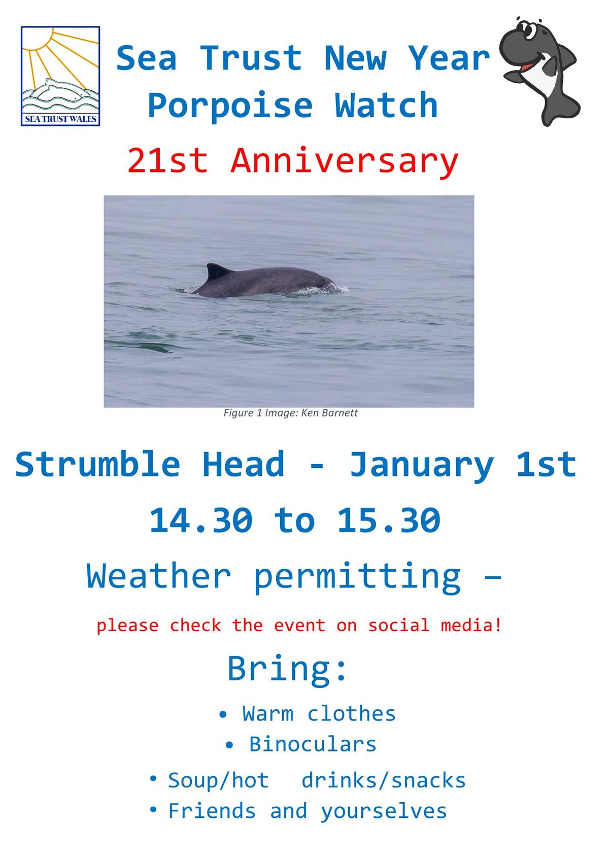 \ud83c\udf0a\ud83d\udc2cNew Years Porpoise Watch - Strumble Head\ud83c\udf0a\ud83d\udc2c