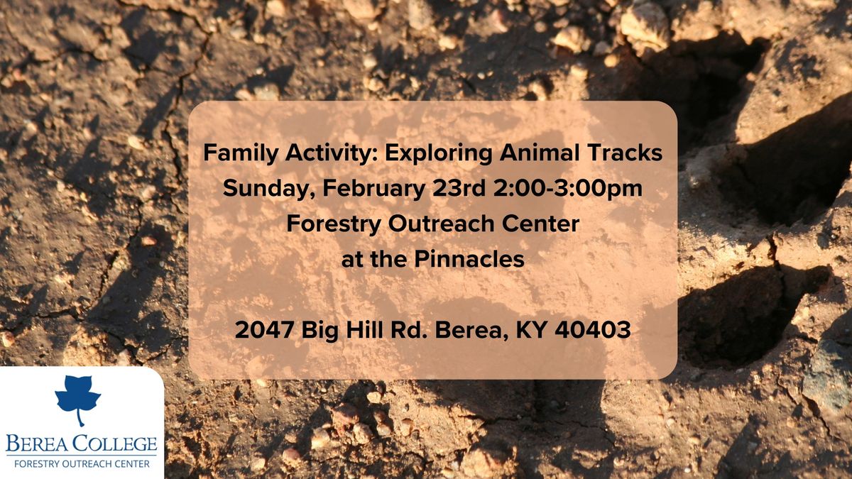 Family Activity: Exploring Animal Tracks