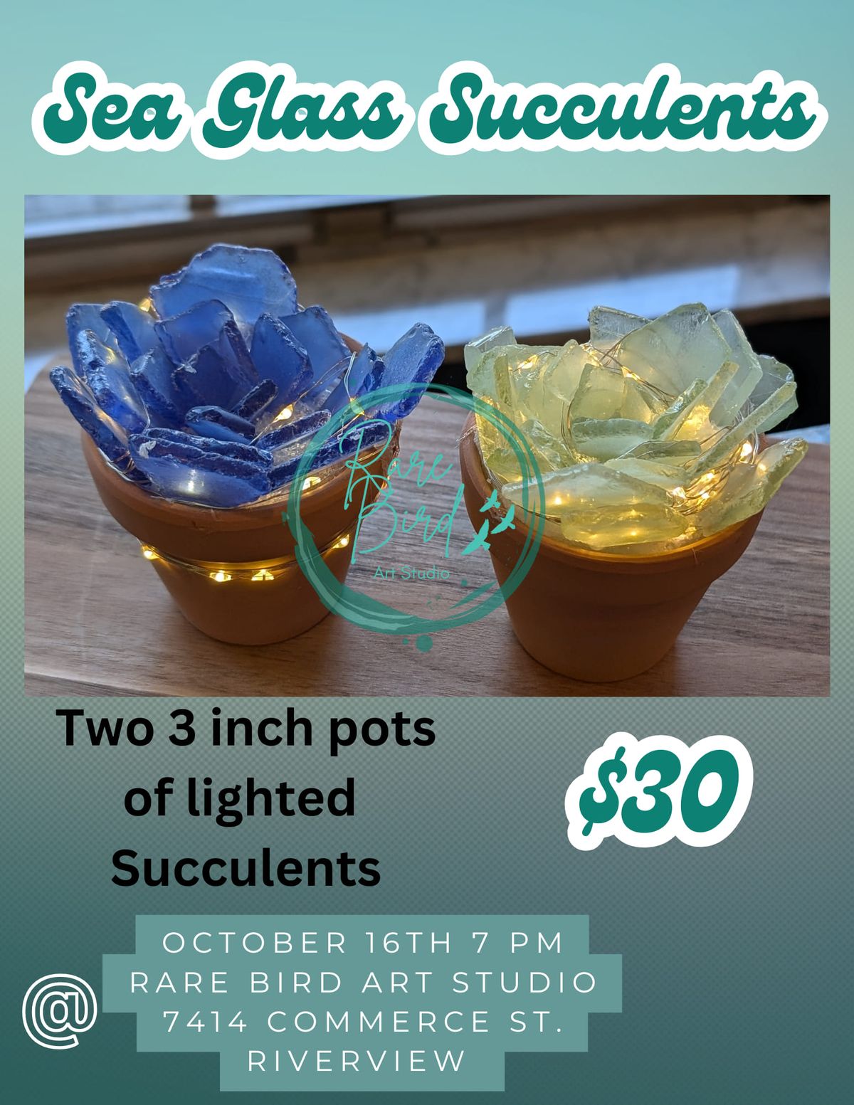 October 16th create your own DIY Sea Glass succulents