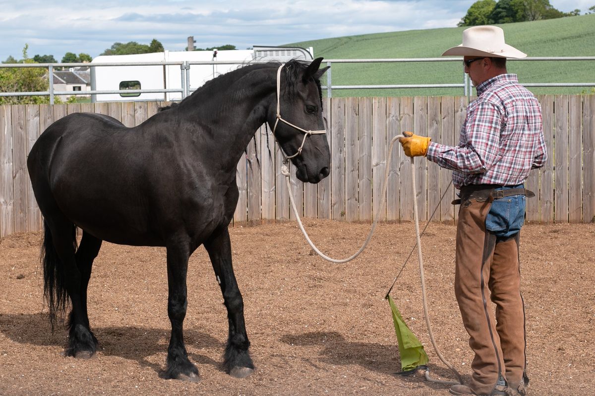 \ud83d\udd36 Clive Johnson \ud83d\udd36 - Horsemanship, Groundwork And Ridden Clinic - Sunday, 4th August