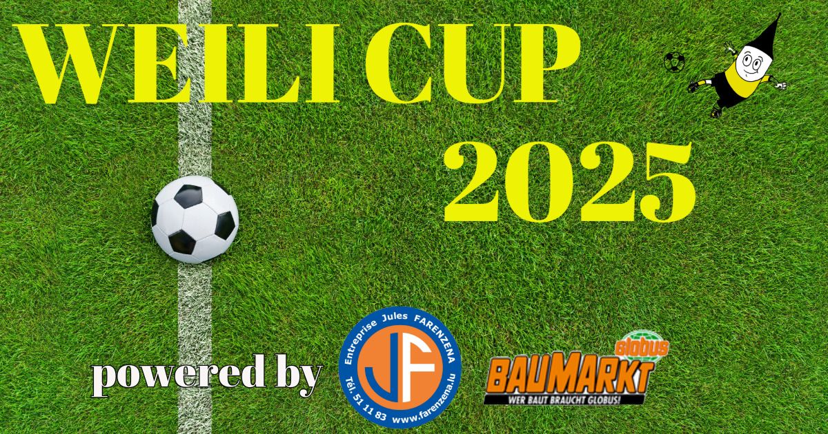 Weili Cup 2025