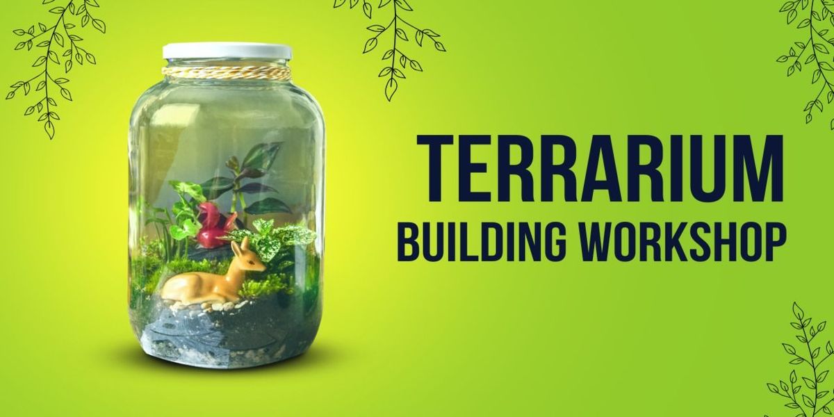 DIY Terrarium Making Workshop for Beginners