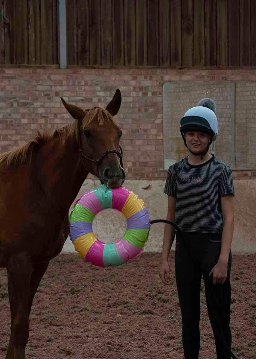 Young horse hour with obstacles