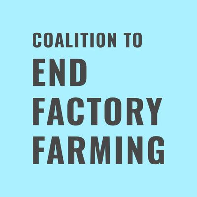 Coalition To End Factory Farming