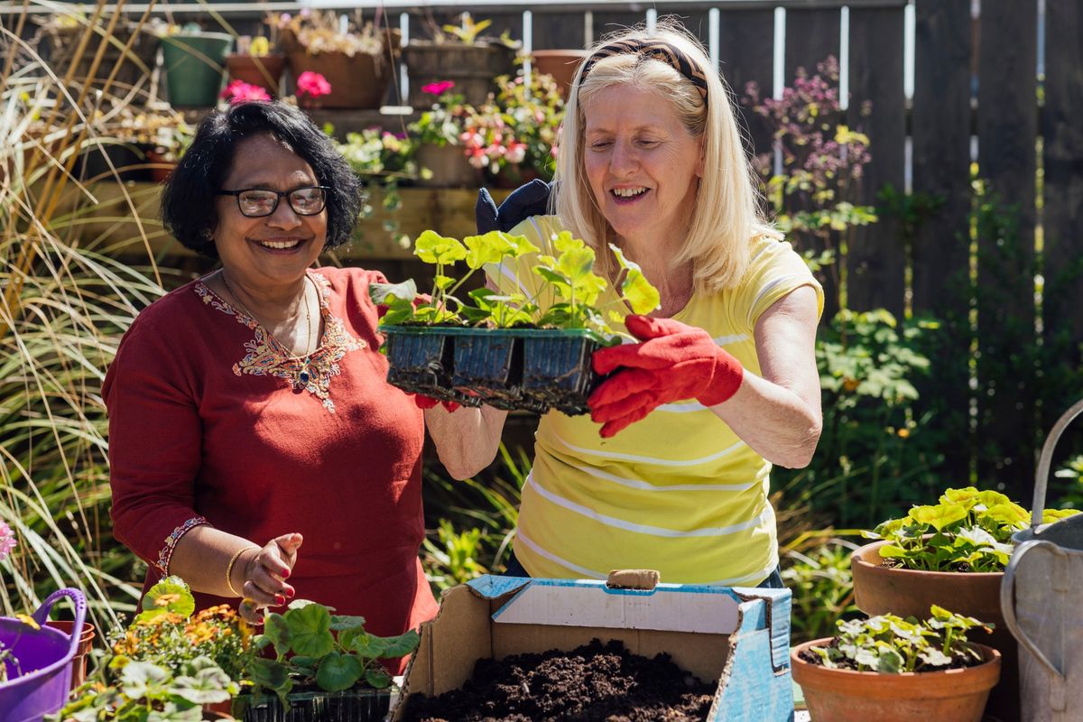 McGough Nature Park: Gardening Series