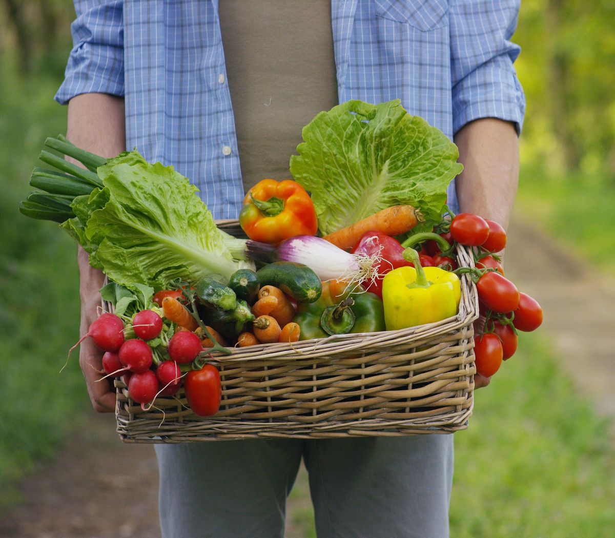 Frisco Rotary Farmers Market at Kaleidoscope Park