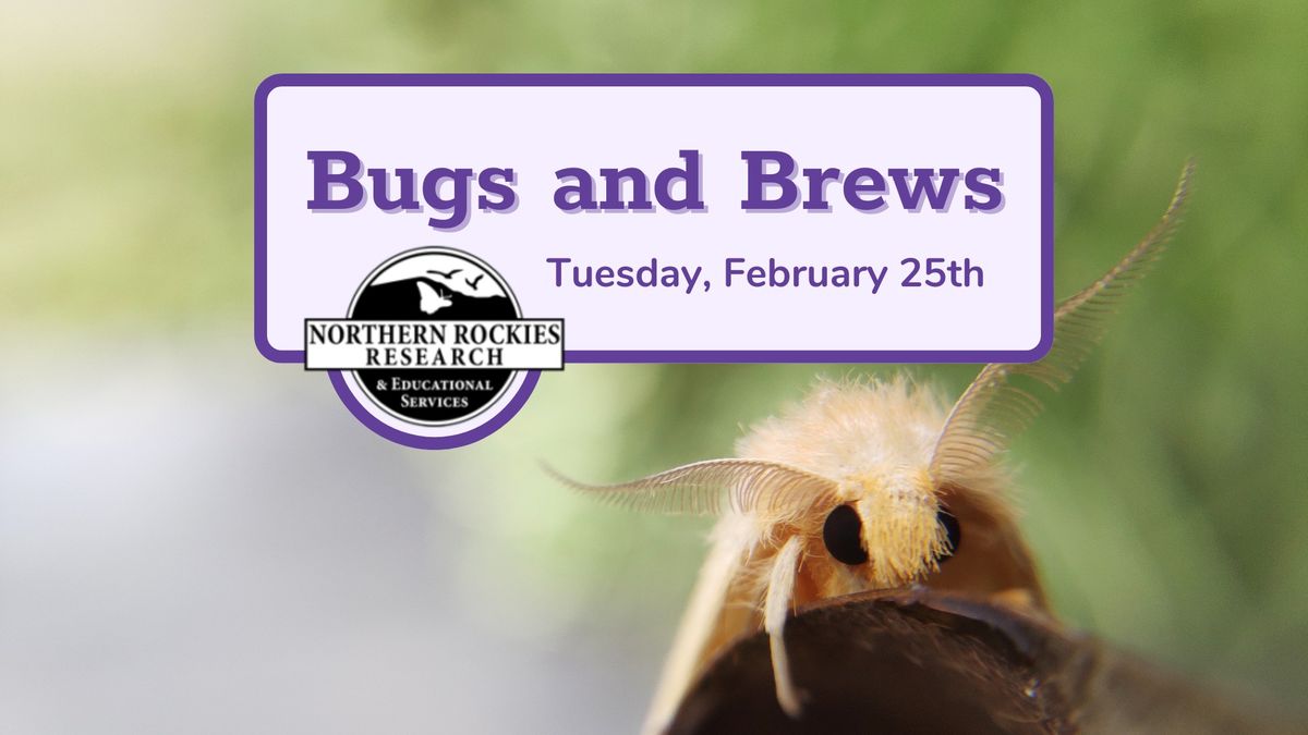 Bugs and Brews: Montana Moth Project