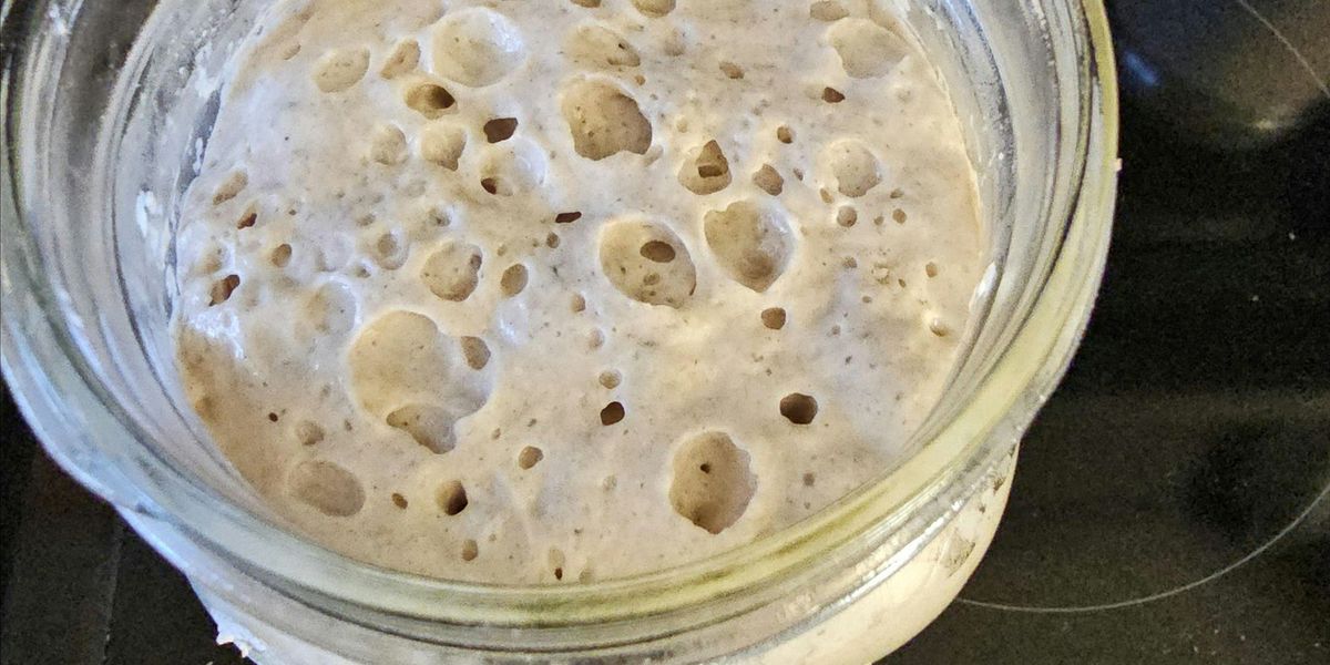 Sourdough Starter 101 Class  9\/28\/24 1 pm class