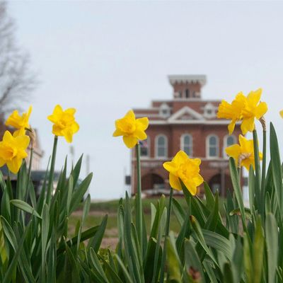 Hermann Area Chamber of Commerce