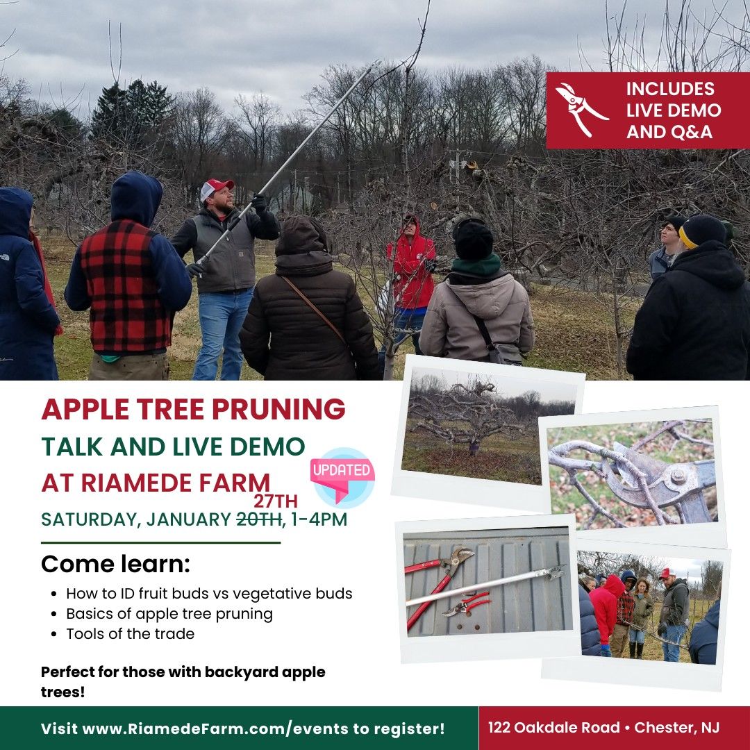 Winter Pruning Class