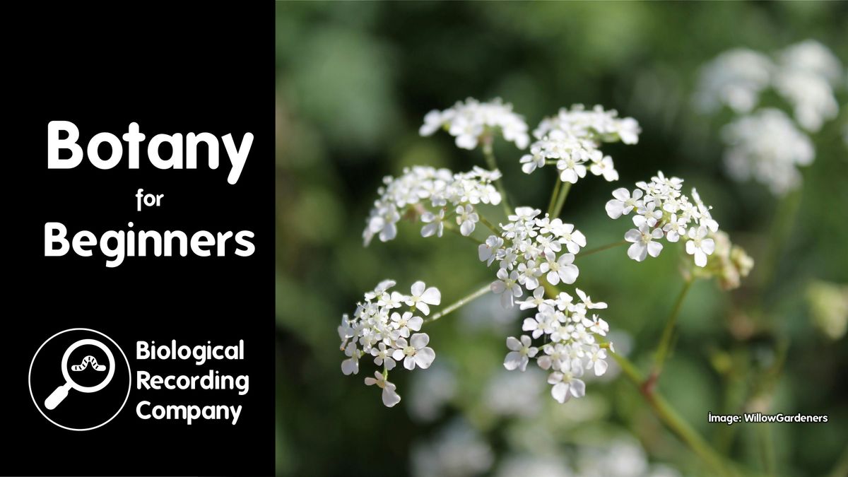 Botany for Beginners, Hendon Town Hall, London, 3 February 2026