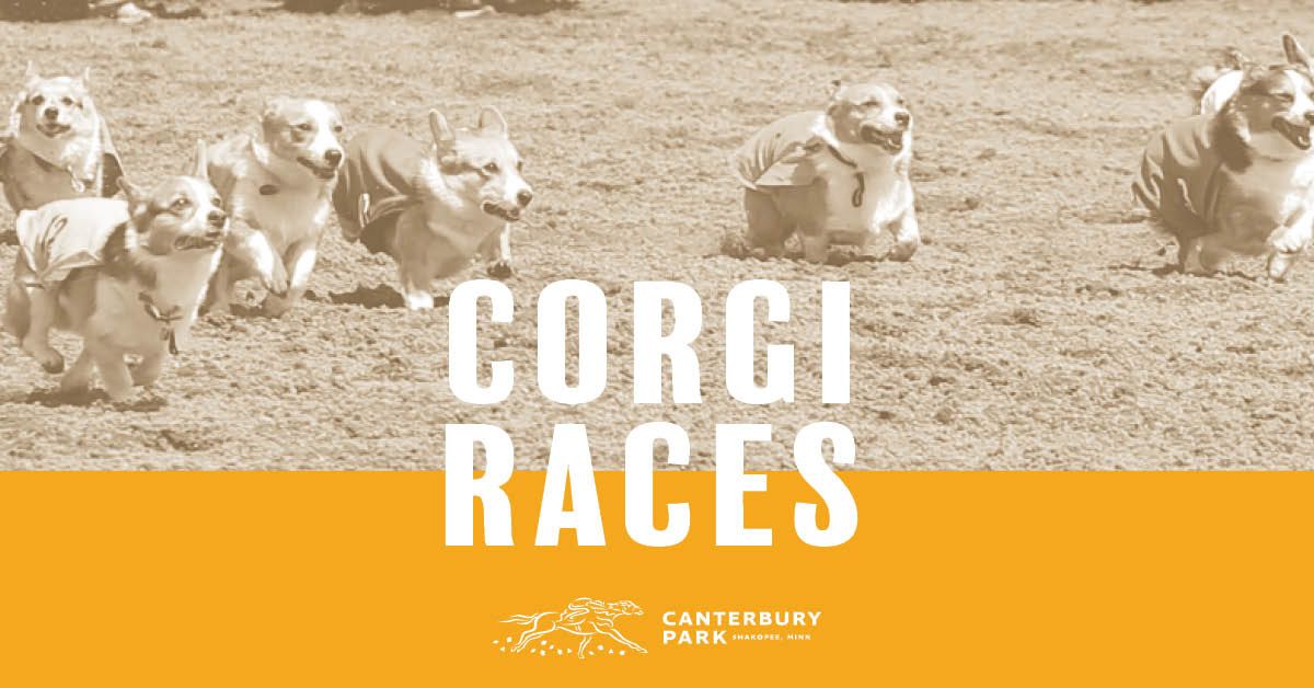 Corgi Races