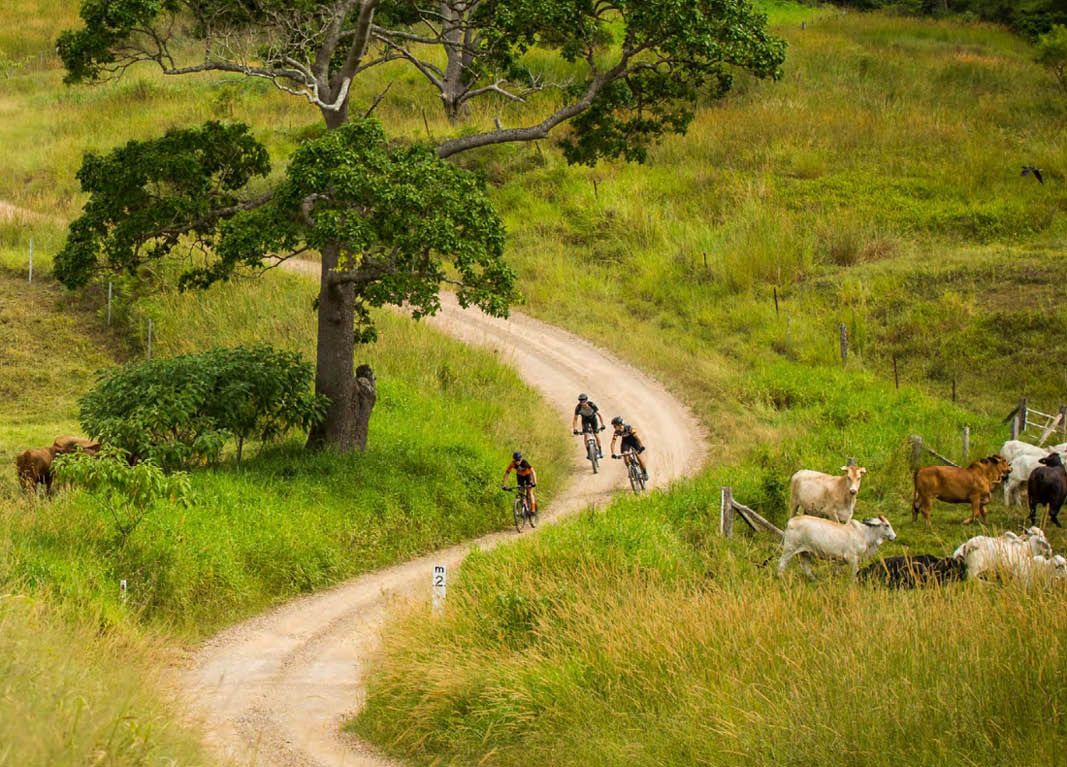  EBB Multi Owners ride | Adventure | Noosa Biosphere (Day 1)