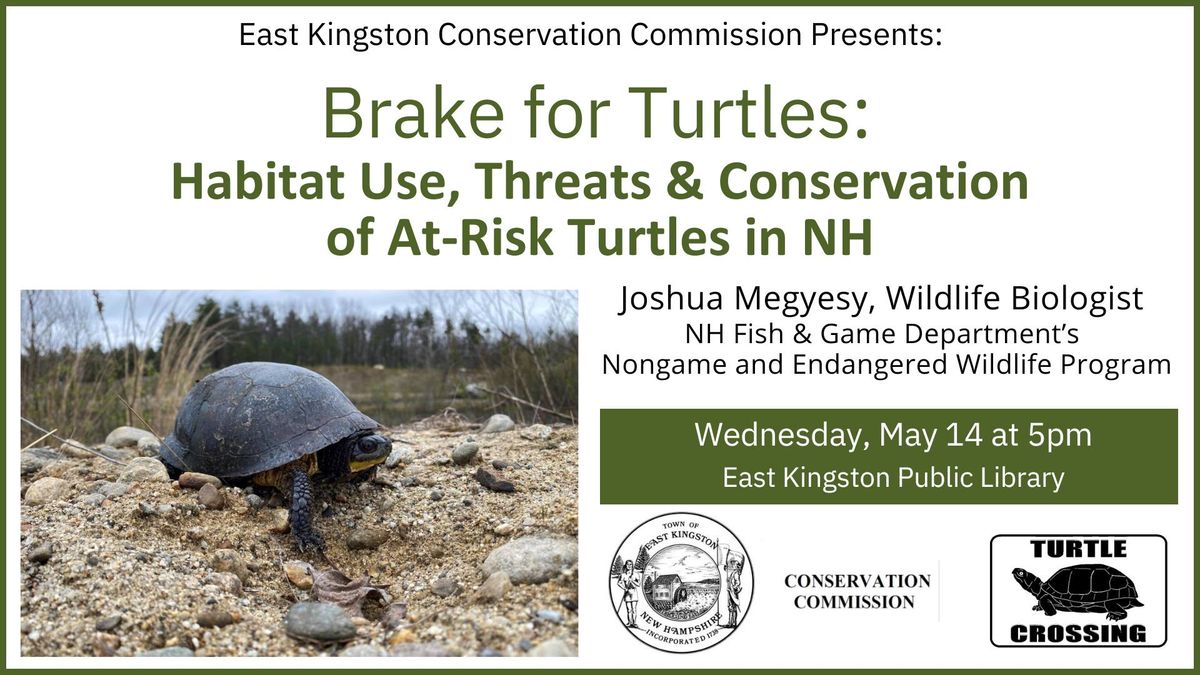 Brake for Turtles: Habitat Use, Threats & Conservation of At-Risk Turtles in NH