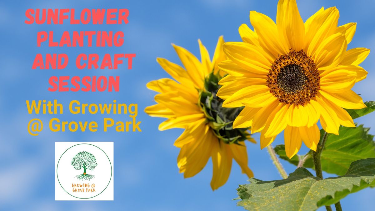 Sunflower Planting and Craft session