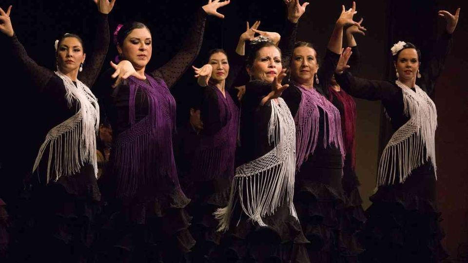 Dances of Spain Flamenco Showcase