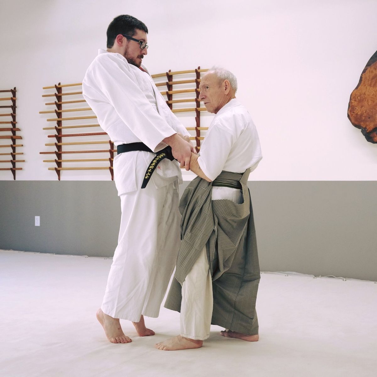 Roy Goldberg Shihan Daito Ryu Aikijujutsu Seminar - In-Person AND Zoom