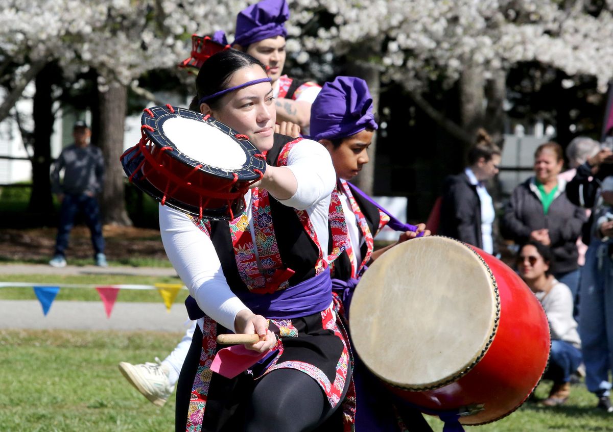 Cherry Blossom Festival 