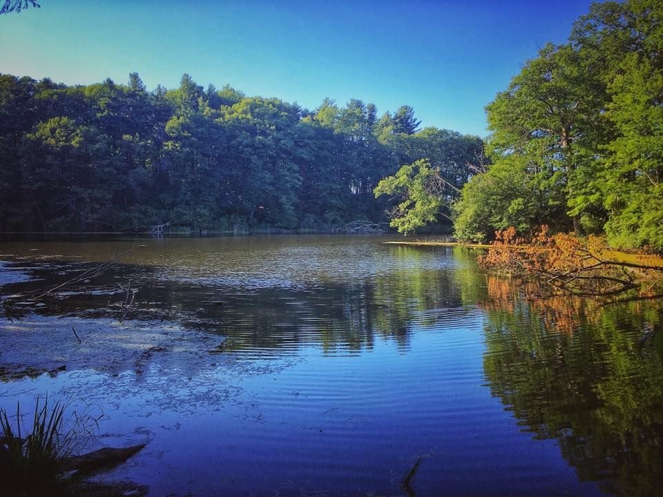 ROCovery Hike: Durand Eastman Park!