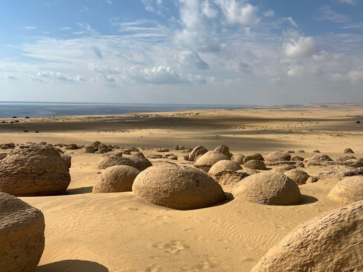 Fayoum Hidden Gem: The North of Lake Qaroun