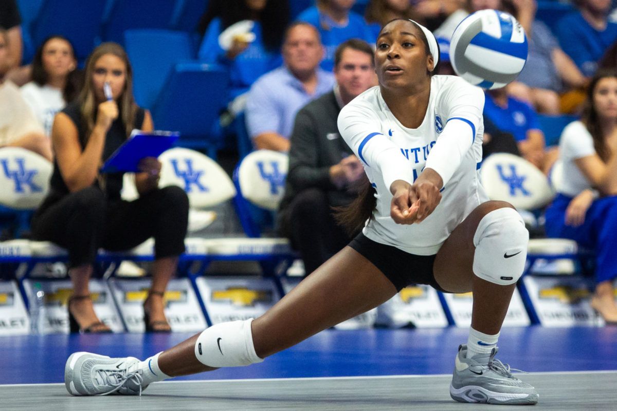 Kentucky Wildcats at South Carolina Gamecocks Womens Volleyball