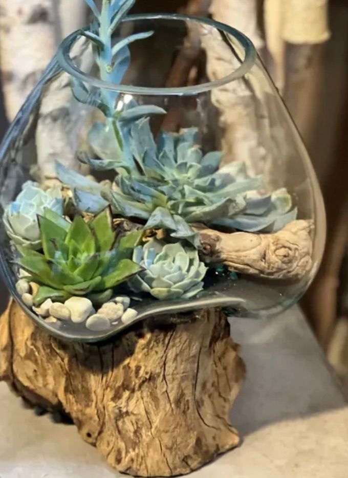 Succulent Dish Terrarium Workshop