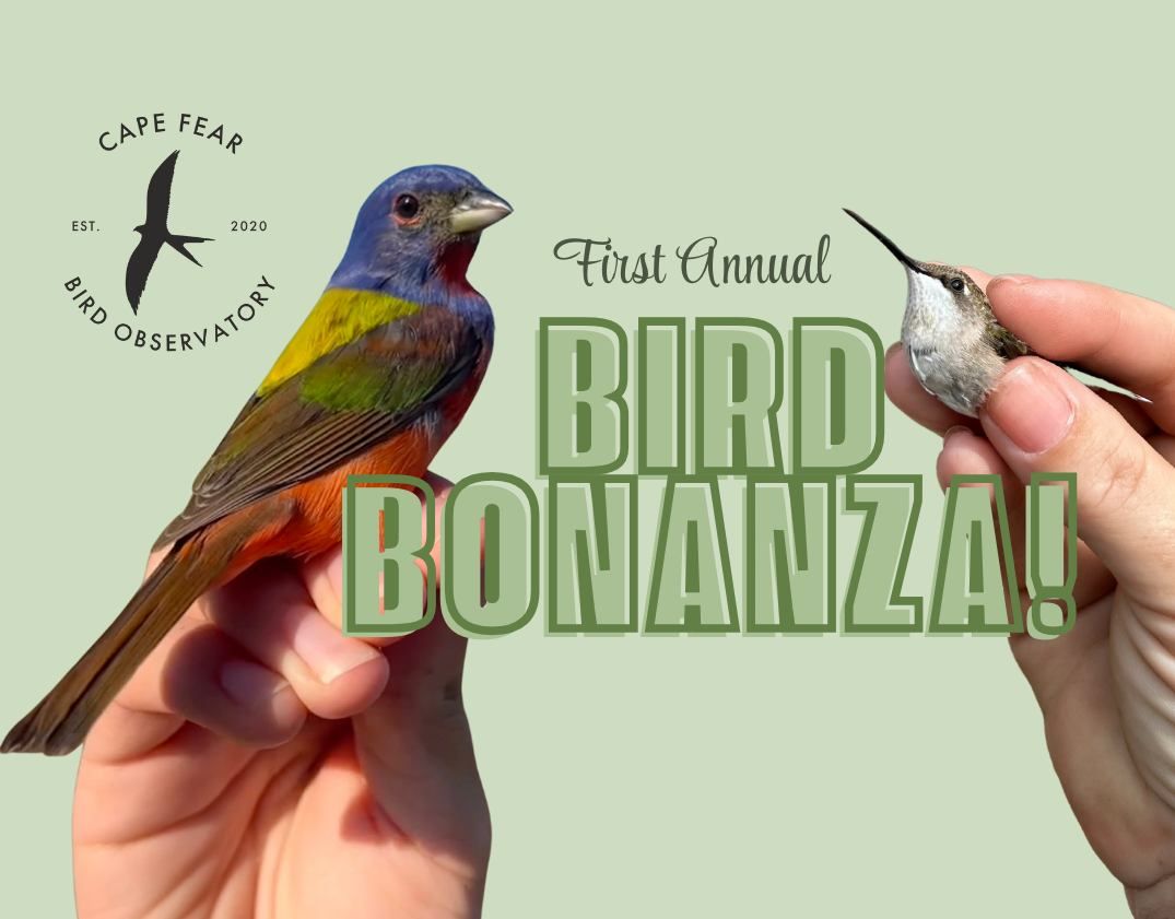 First Annual Bird Bonanza!