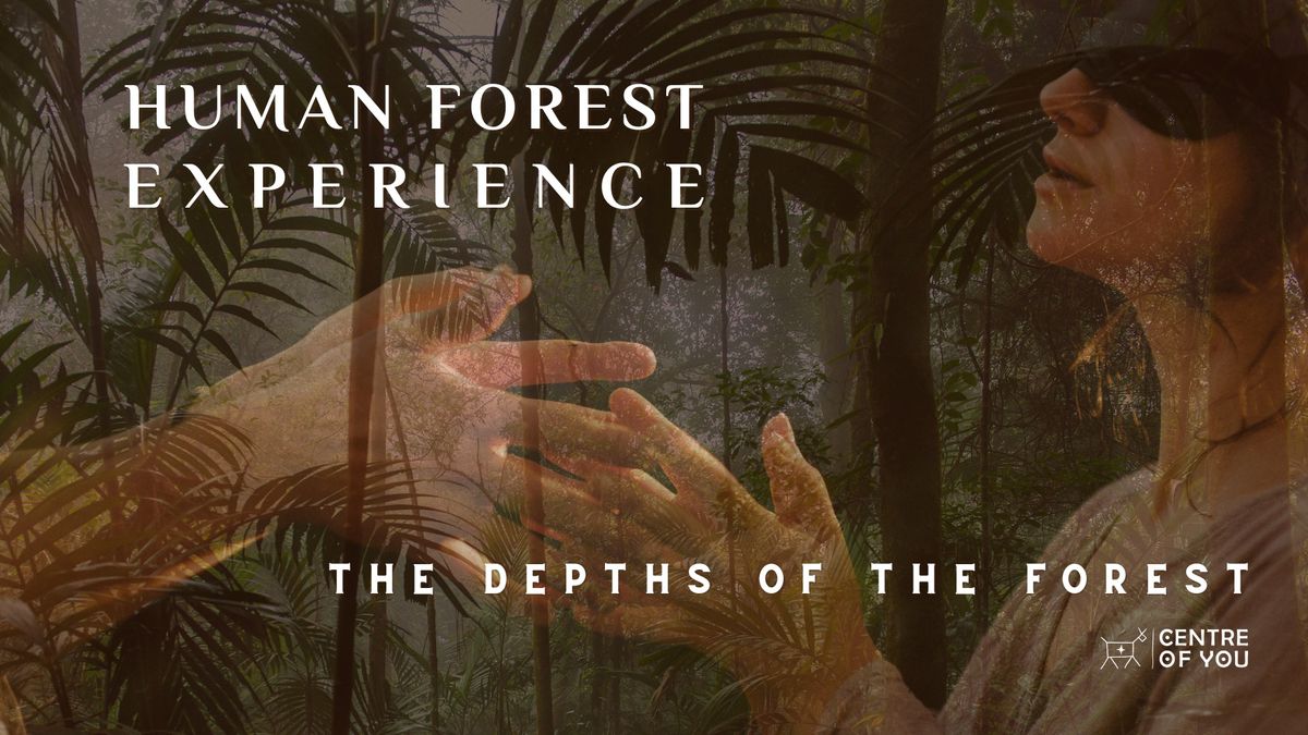 Human Forest - The Depths of the Forest. A Regenerative Touch Experience.