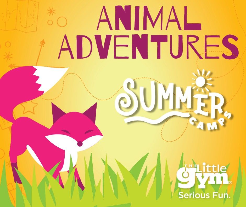 Animal Adventures Summer Camp