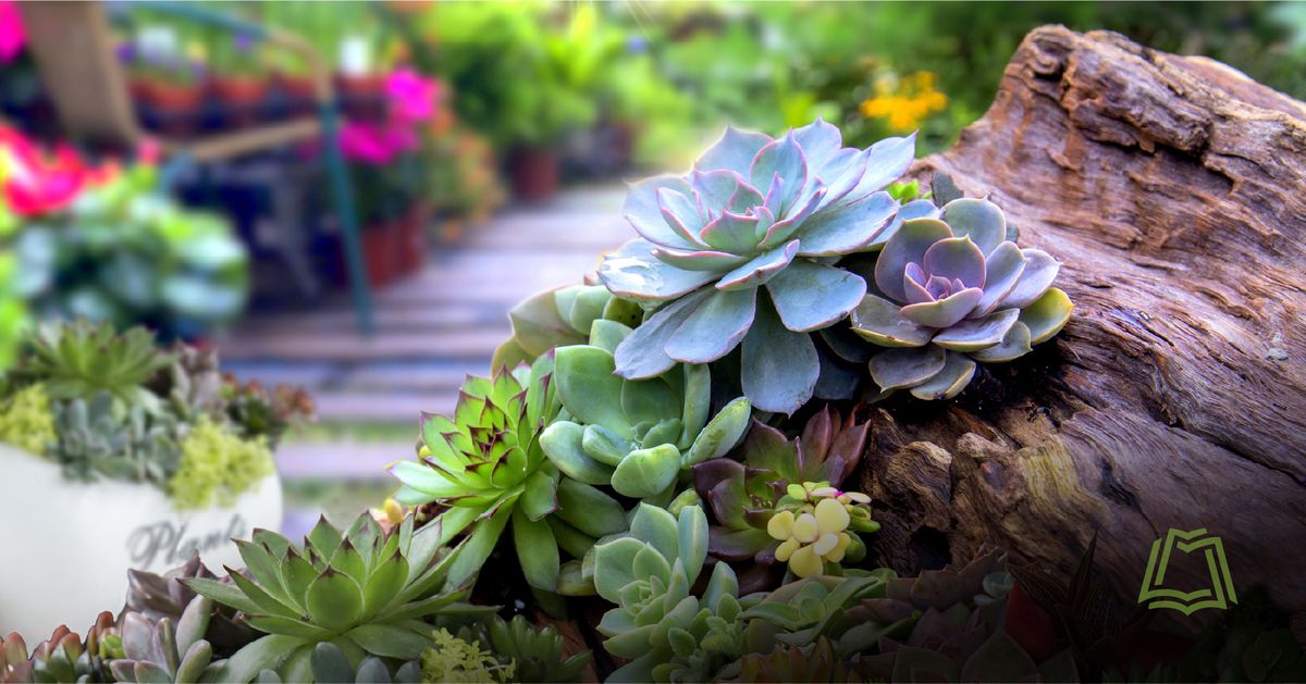 Master Gardener Series: Sustainable Landscaping