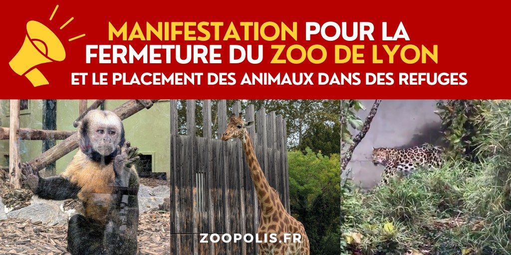 LYON : Manif pour la fermeture du Zoo de Lyon