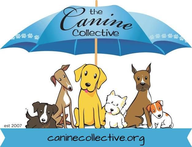 Canine Collective Adoption Event!