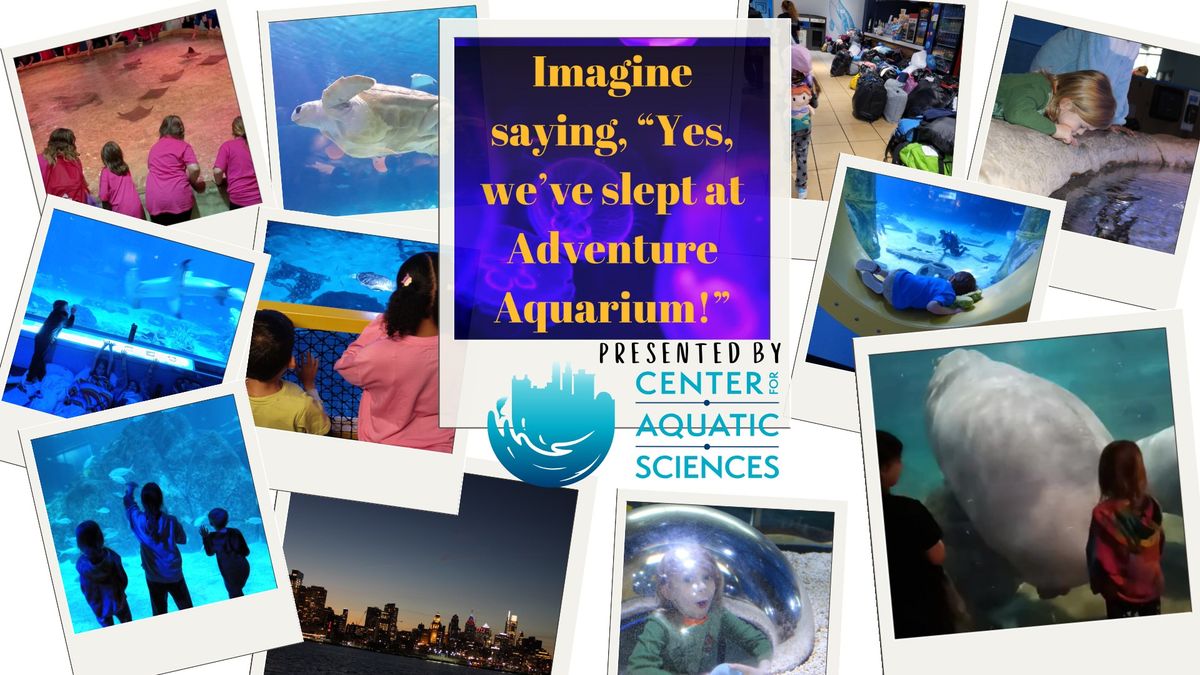 Sleep Overnight at Adventure Aquarium