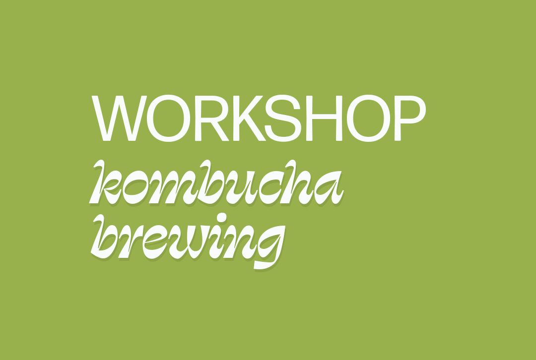 kombucha workshop