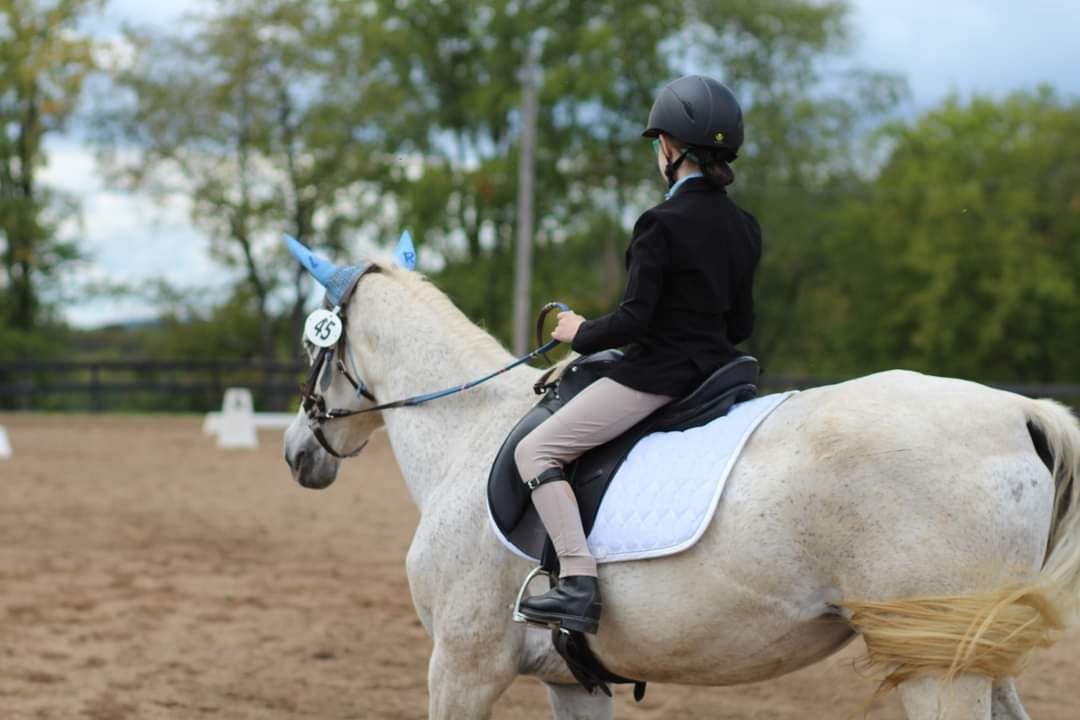 WRC Fall Dressage II