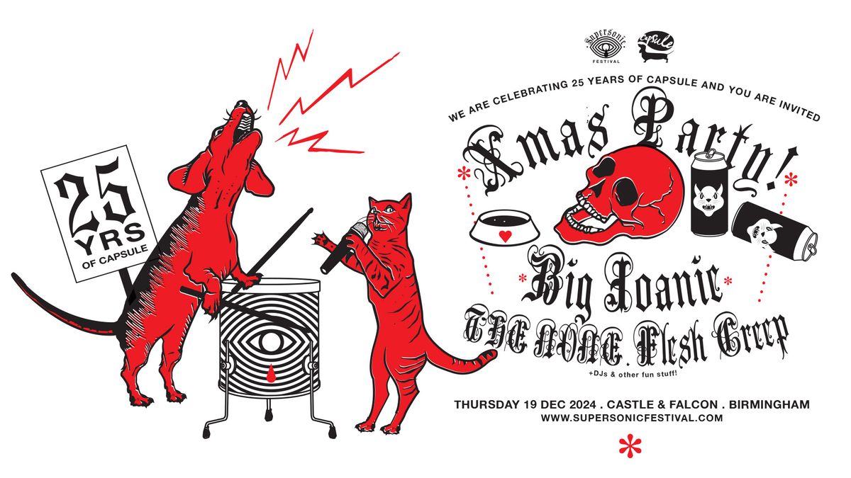 Capsule 25 Year Anniversary Xmas Party: Big Joanie + THE NONE + Flesh Creep