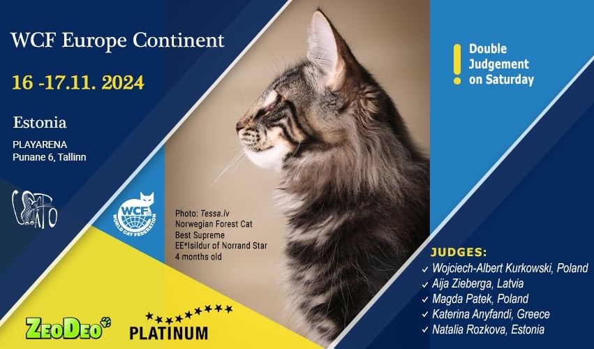 WCF Europe Continent Cat Show