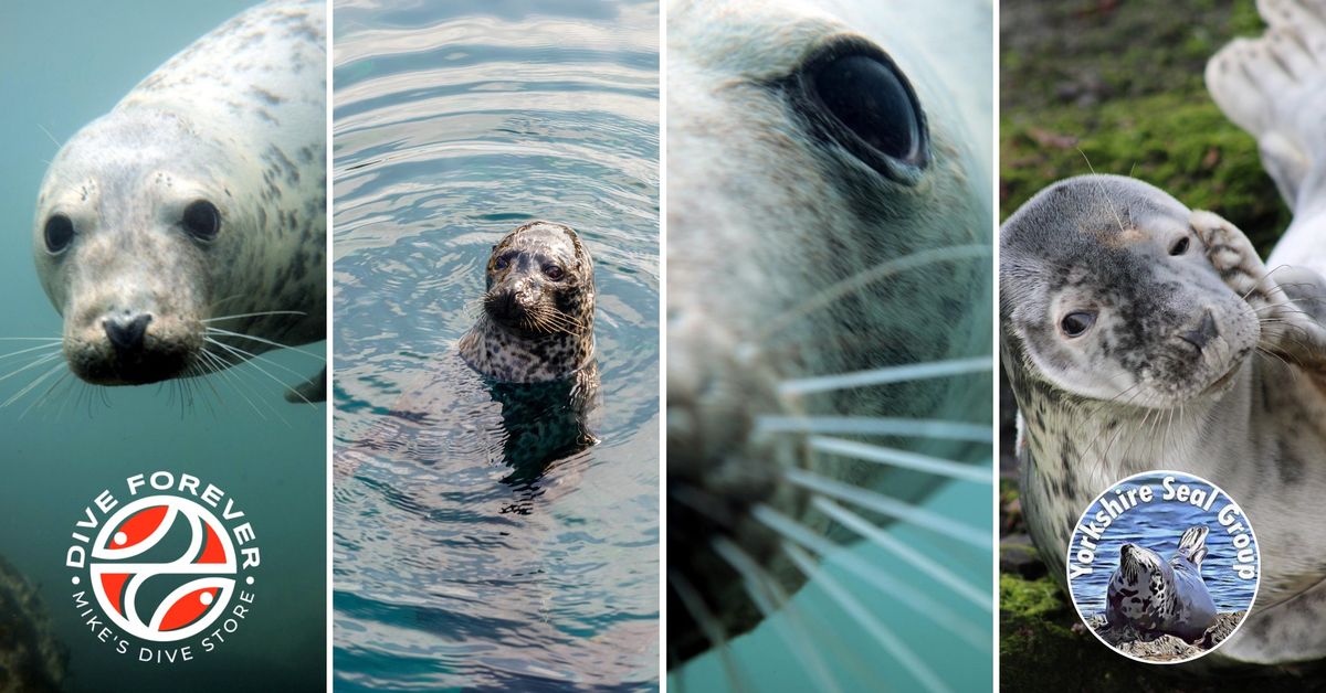 Seals of the UK, biology, behaviours, threats and conservation