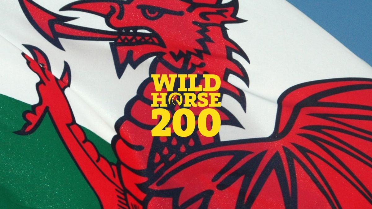 South Wales 200 - By Wild Horse 200
