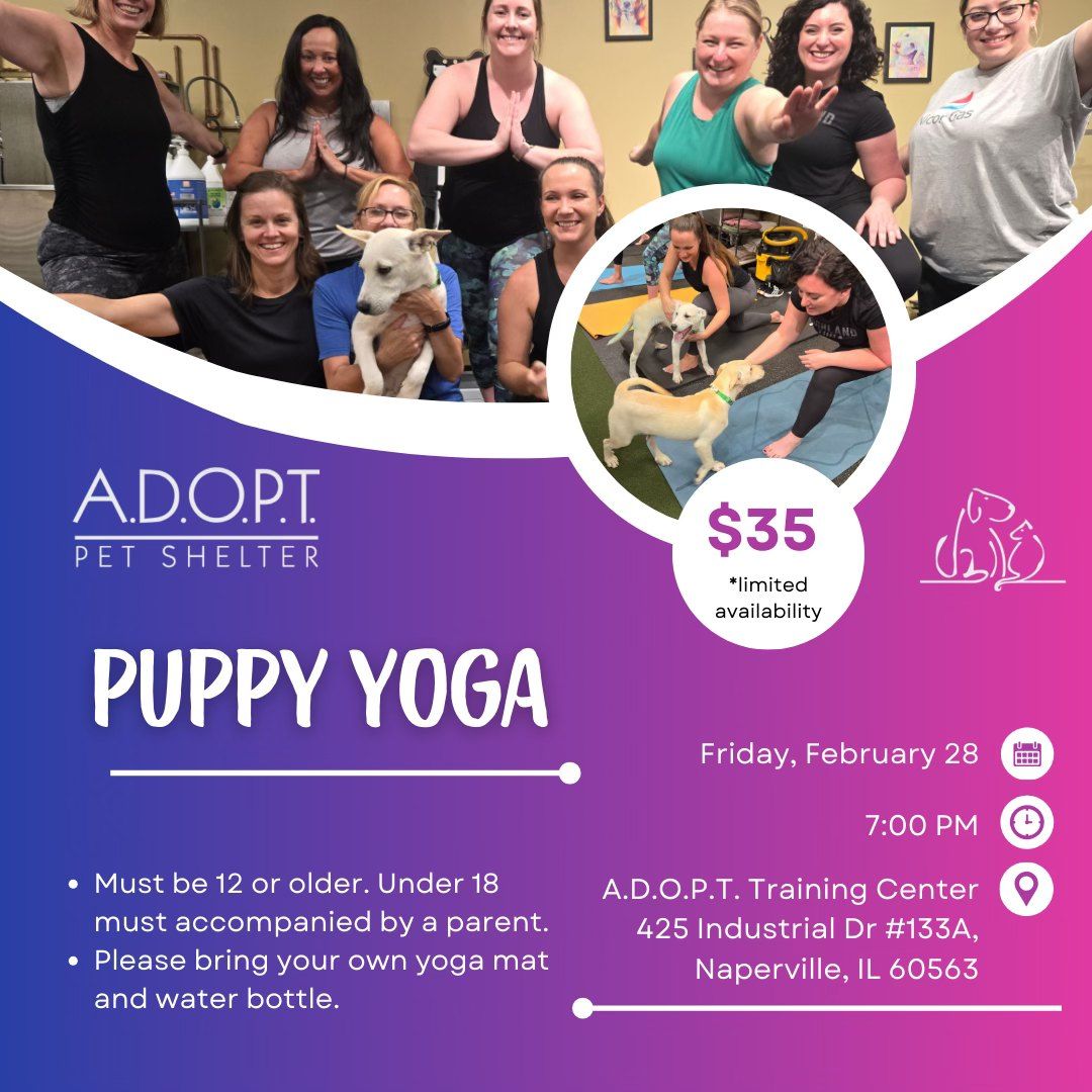 Furry Friend Yoga