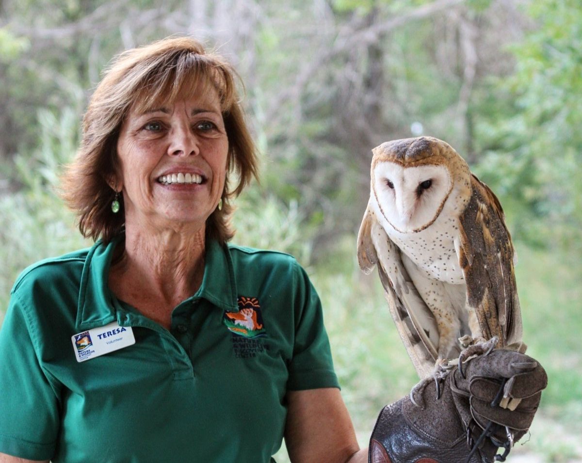 New Volunteer Meeting for the Raptor Center