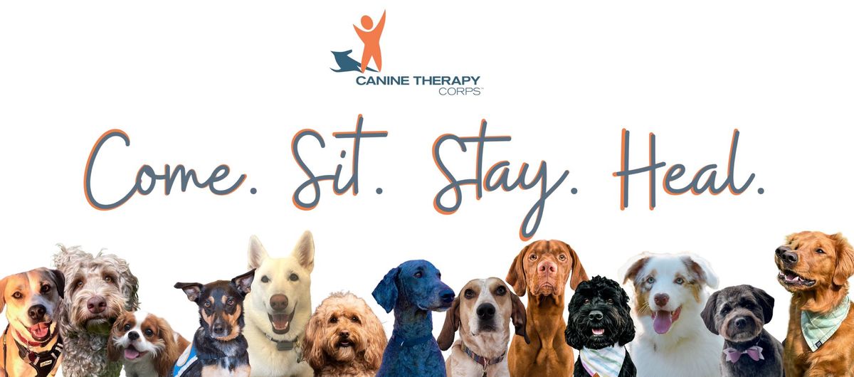 Therapy Dog Certification Information Night