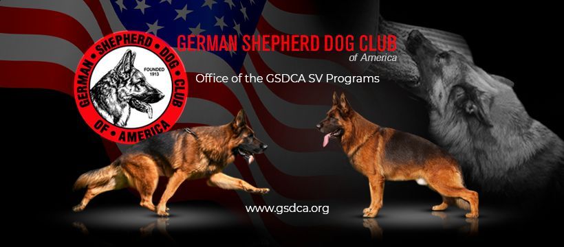 Chicago Schutzhund Verein Club Show, Breed survey, Character Assessment Test