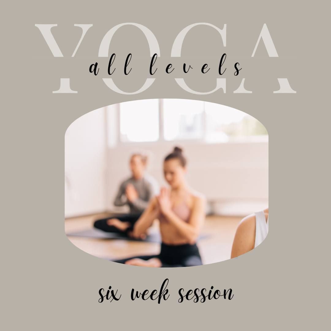 Spring All Levels Yoga - Six Week Class