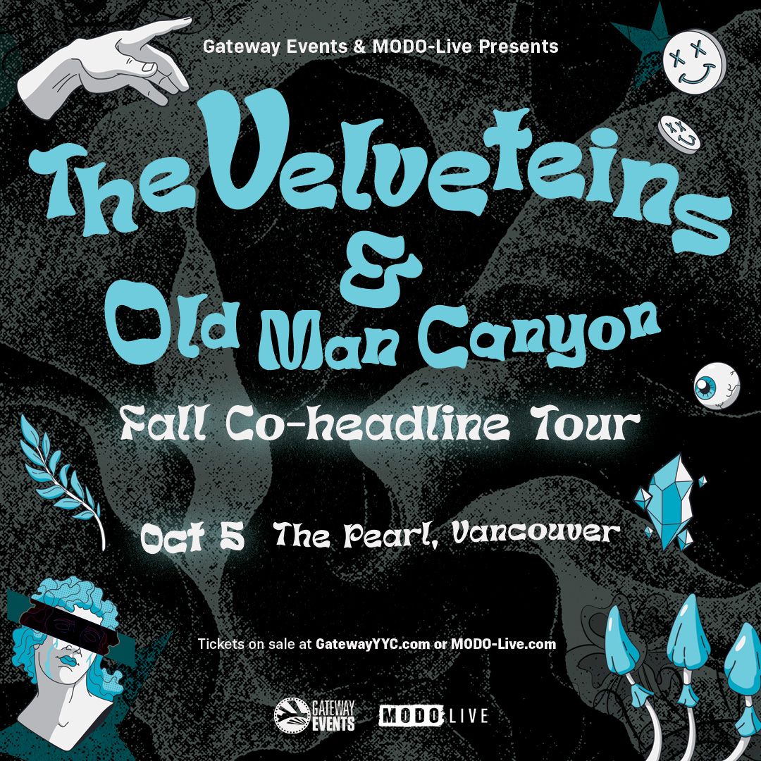 The Velveteins