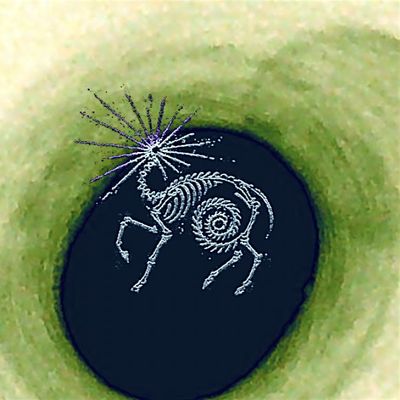 Fossilver Collective